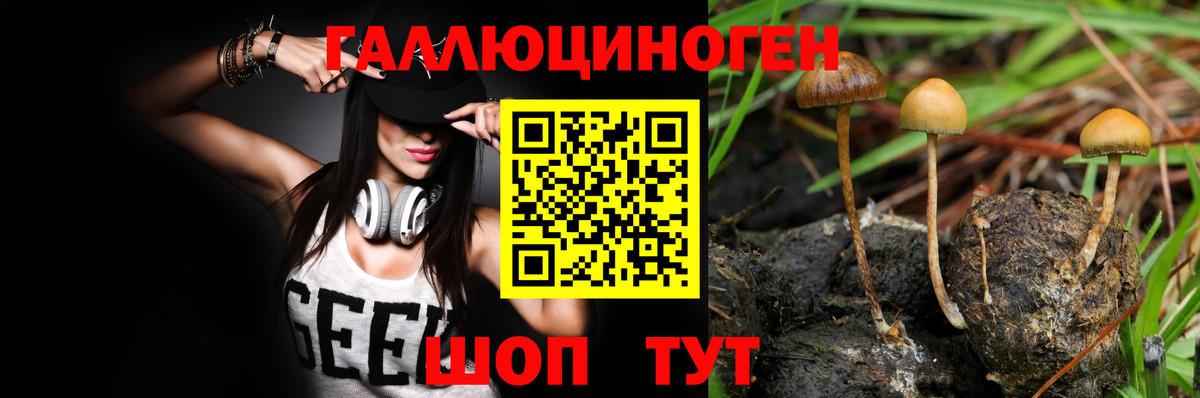 Галлюциногенные грибы Psilocybe  Вход с VPN  Галлюциногенные грибы Cubensis  Курганинск 